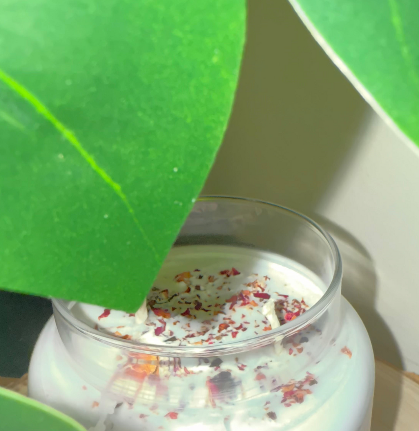 Black Raspberry & Vanilla 16oz Soy Candle